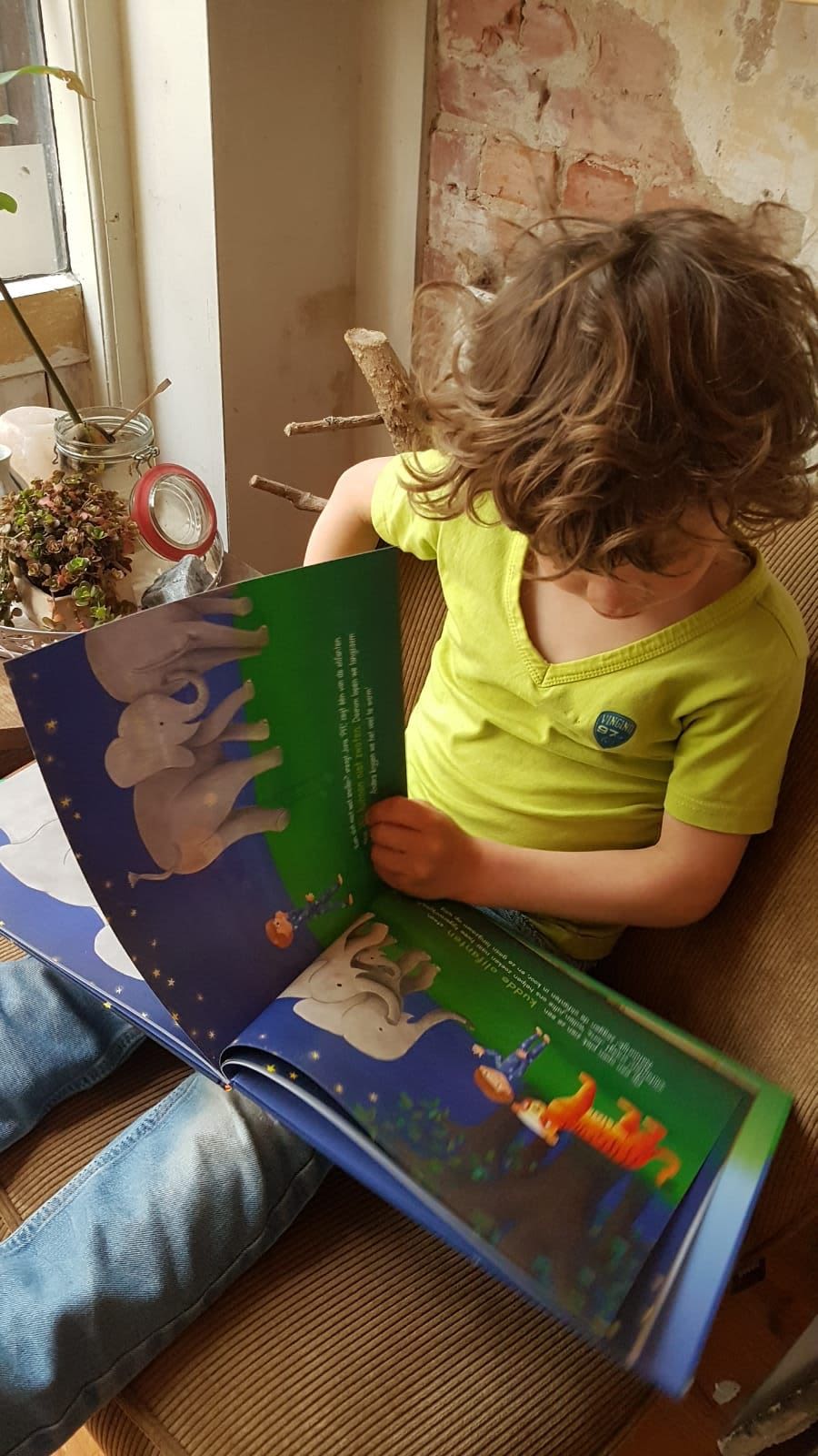 Luke and the tiger storybook (hardback) - UK